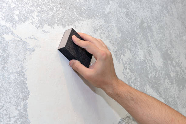 Best Emergency Mold Remediation  in Evans, CO