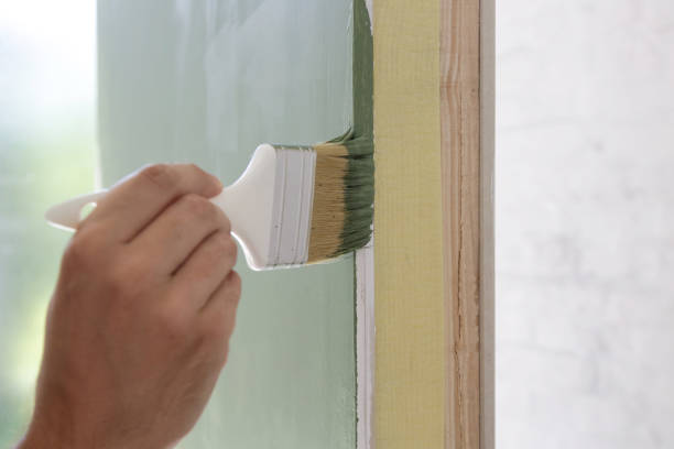 Best Mold Removal for HVAC Installations  in Evans, CO