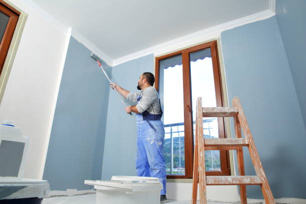 Best Mold Remediation for Healthcare Facilities  in Evans, CO