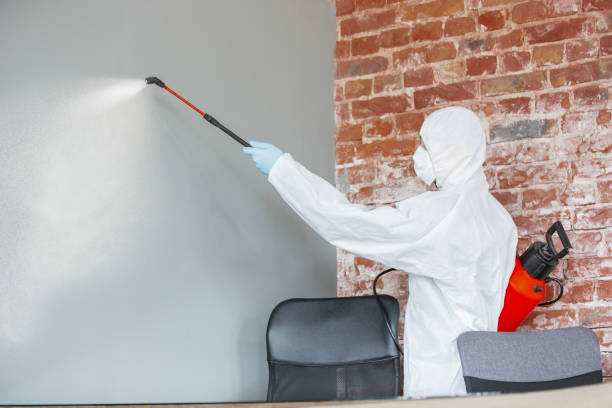 Best Biohazard Mold Removal  in Evans, CO