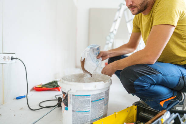 Best Mold Odor Removal Services  in Evans, CO