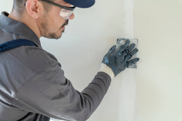 Best Attic Mold Removal  in Evans, CO