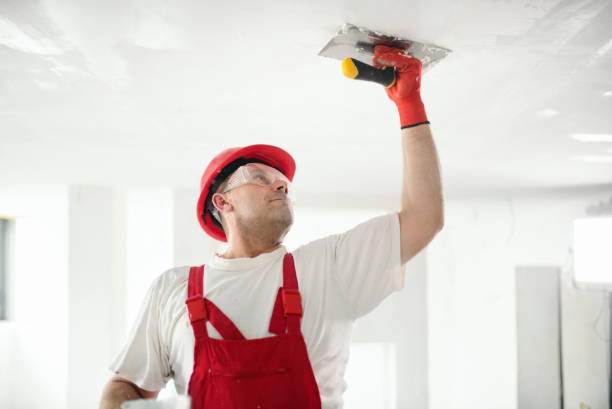 Best Mold-Related Health Consultation  in Evans, CO