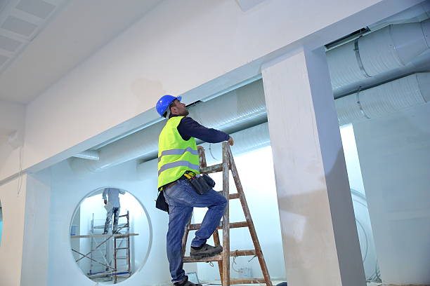 Best Environmental Consulting for Mold Prevention  in Evans, CO